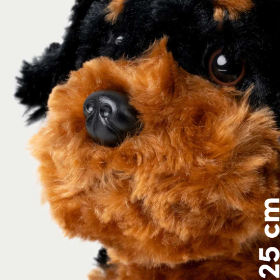Teddykompaniet Teddy Hund Brun