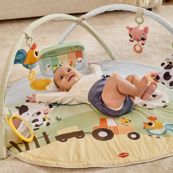 Tiny Love Babygym Farmers Funday
