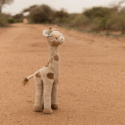 Little Dutch Kosedyr Sjiraff Safari Friends
