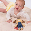 Taf Toys Aktivitetsleke Hunden Daniel
