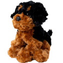 Teddykompaniet Teddy Hund Brun