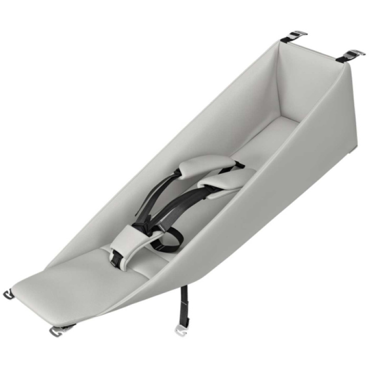  i gruppen Barnevogner / Varemerker / Thule / Thule Chariot hos Köpbarnvagn (THUL20201531)