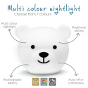 Zazu Nattlampe Bor the Bear